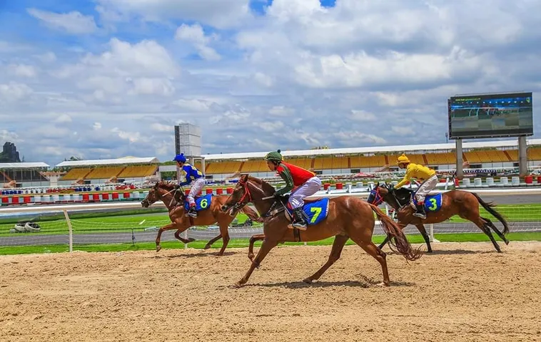 Khám Phá Toàn Diện Về Cá Cược Đua Ngựa 789Win Cho Người Mới