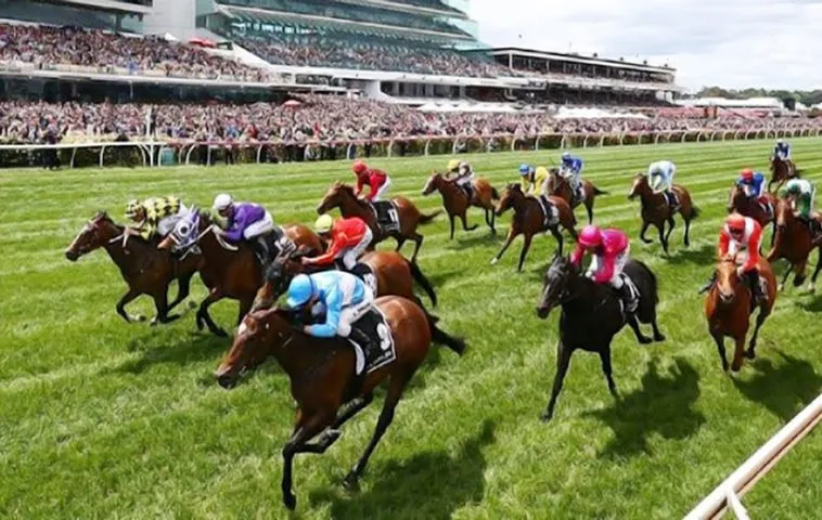 Khám Phá Toàn Diện Về Cá Cược Đua Ngựa 789Win Cho Người Mới