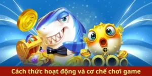Bí Kíp Chơi Bắn Cá Royal Fishing 789Win Để Trở Thành Cao Thủ